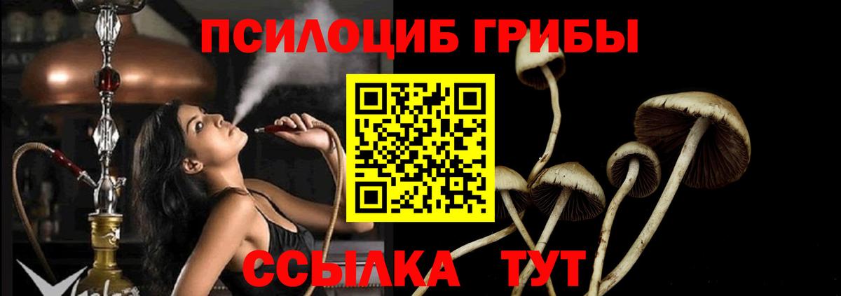 Галлюциногенные грибы ЛСД  Вход с VPN  Вязьма 